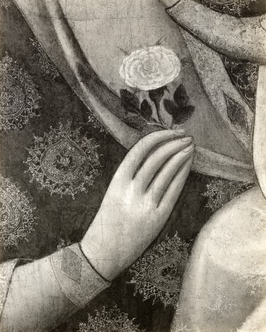 Anonimo — Lorenzo Veneziano - sec. XIV - Mano della Madonna con la rosa — particolare
